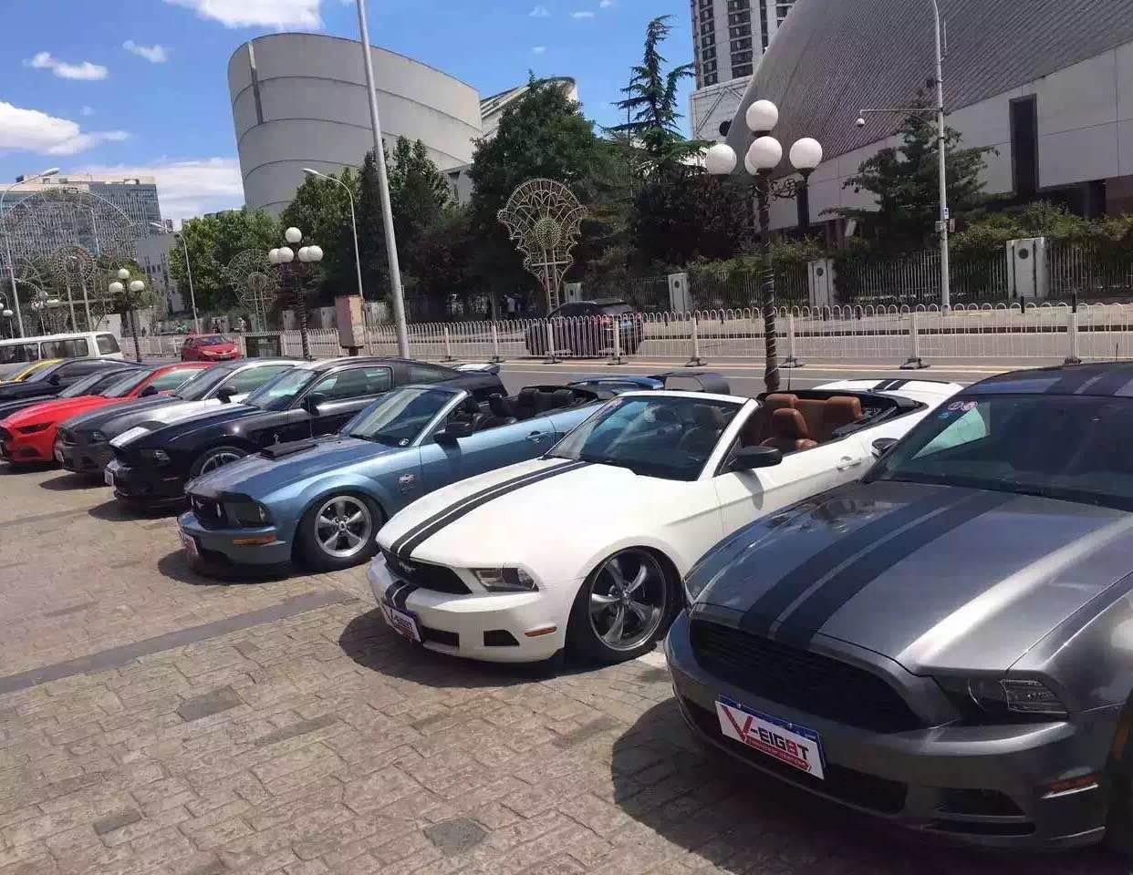 241128_131241_9923.jpg 26.jpg